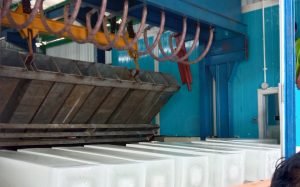 Penguatan Daya Saing Produk Kelautan, Bupati Pasangkayu Resmikan Pabrik Es BalokDAERAH Penguatan Daya Saing Produk Kelautan, Bupati Pasangkayu Resmikan Pabrik Es Balok