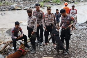 Hari Ketiga Pencarian Korban Tanah Longsor di Gowa, Unit Polsatwa K9 Diturunkan | NEWS TV