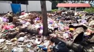 Tumpukan Sampah di Kelurahan Baras Tempat Bersarangnya Tikus | NEWS TV Tumpukan Sampah di Kelurahan Baras Tempat Bersarangnya Tikus | NEWS TV