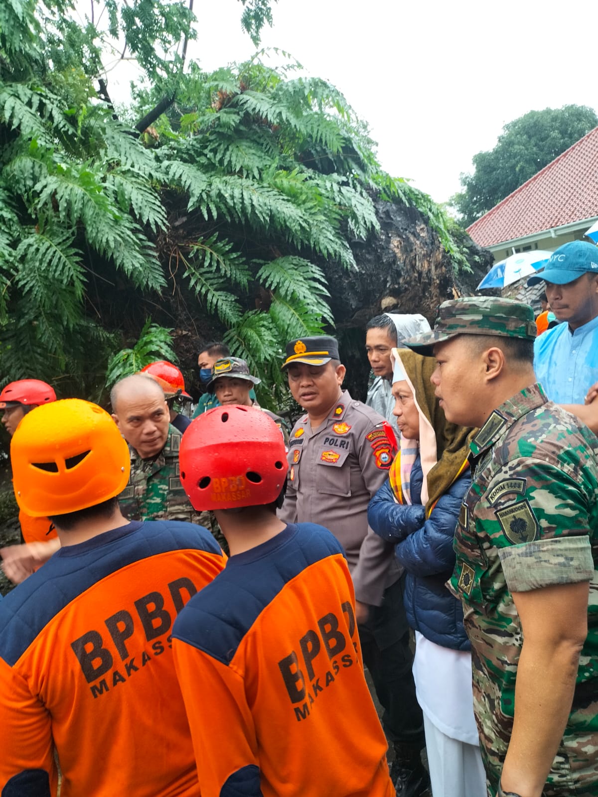 Gegara Pohon Tumbang, Lima Orang Dilarikan ke Rumah Sakit. | NEWS TV Gegara Pohon Tumbang, Lima Orang Dilarikan ke Rumah Sakit. | NEWS TV