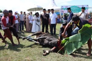 Hari Raya Idul Adha 1444 H/2023M, Personil Polres Jeneponto Potong 48 Ekor Hewan Qurban. | NEWS TV